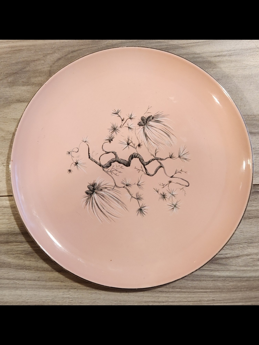 Vintage Taylor Smith Taylor Dwarf Pine Versatile Pink Ovenproof 10 1/4" Plate.